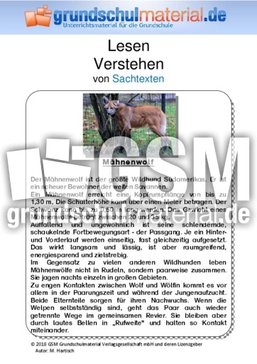 Mähnenwolf - Sachtext.pdf